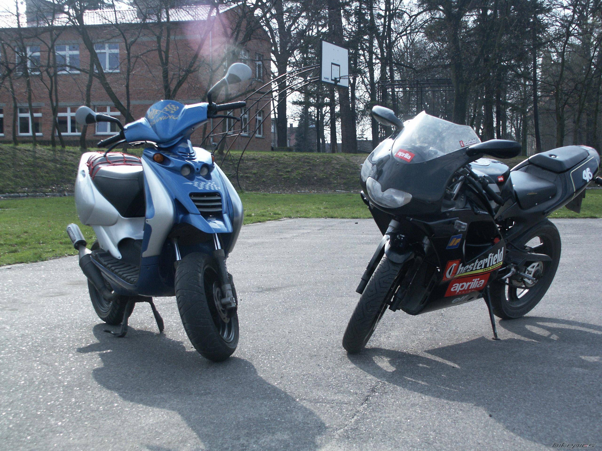 2000 APRILIA RS 50 | Picture 568191 motorcycle photo