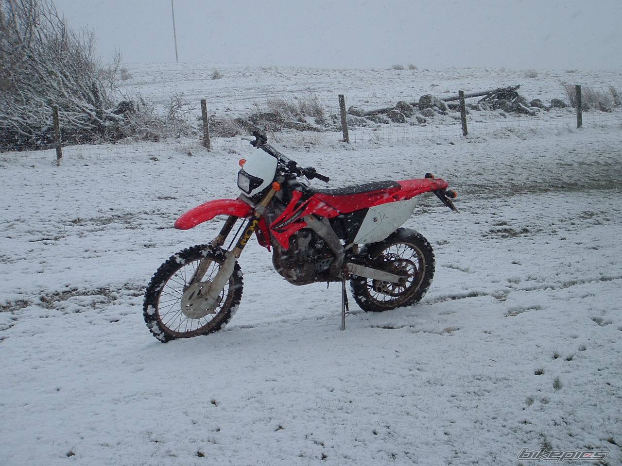 2004 HONDA CRF 250X | Picture 568262 motorcycle photo