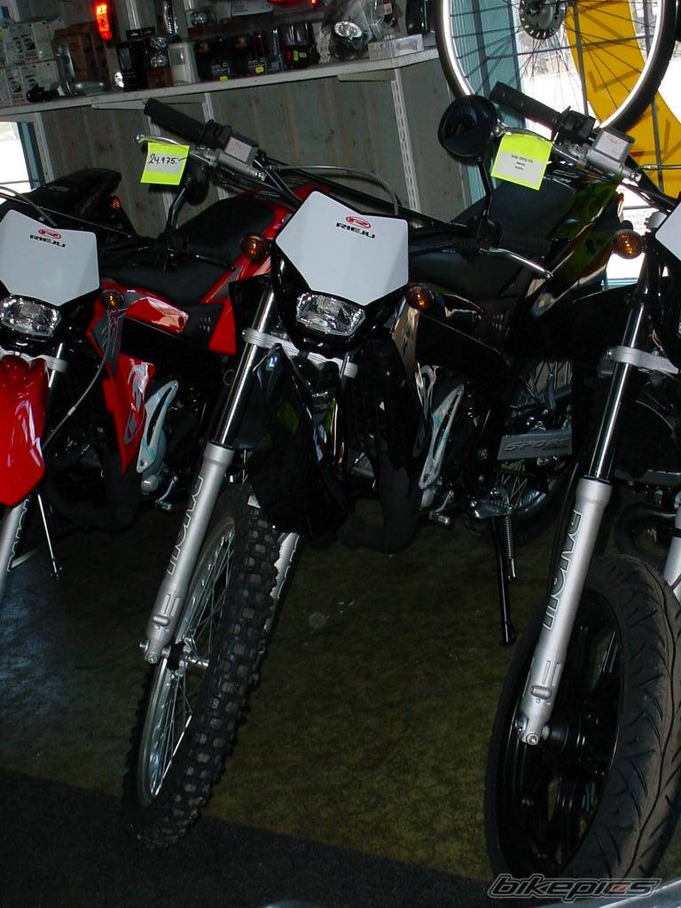 2006 RIEJU RR 50 | Picture 569467 motorcycle photo