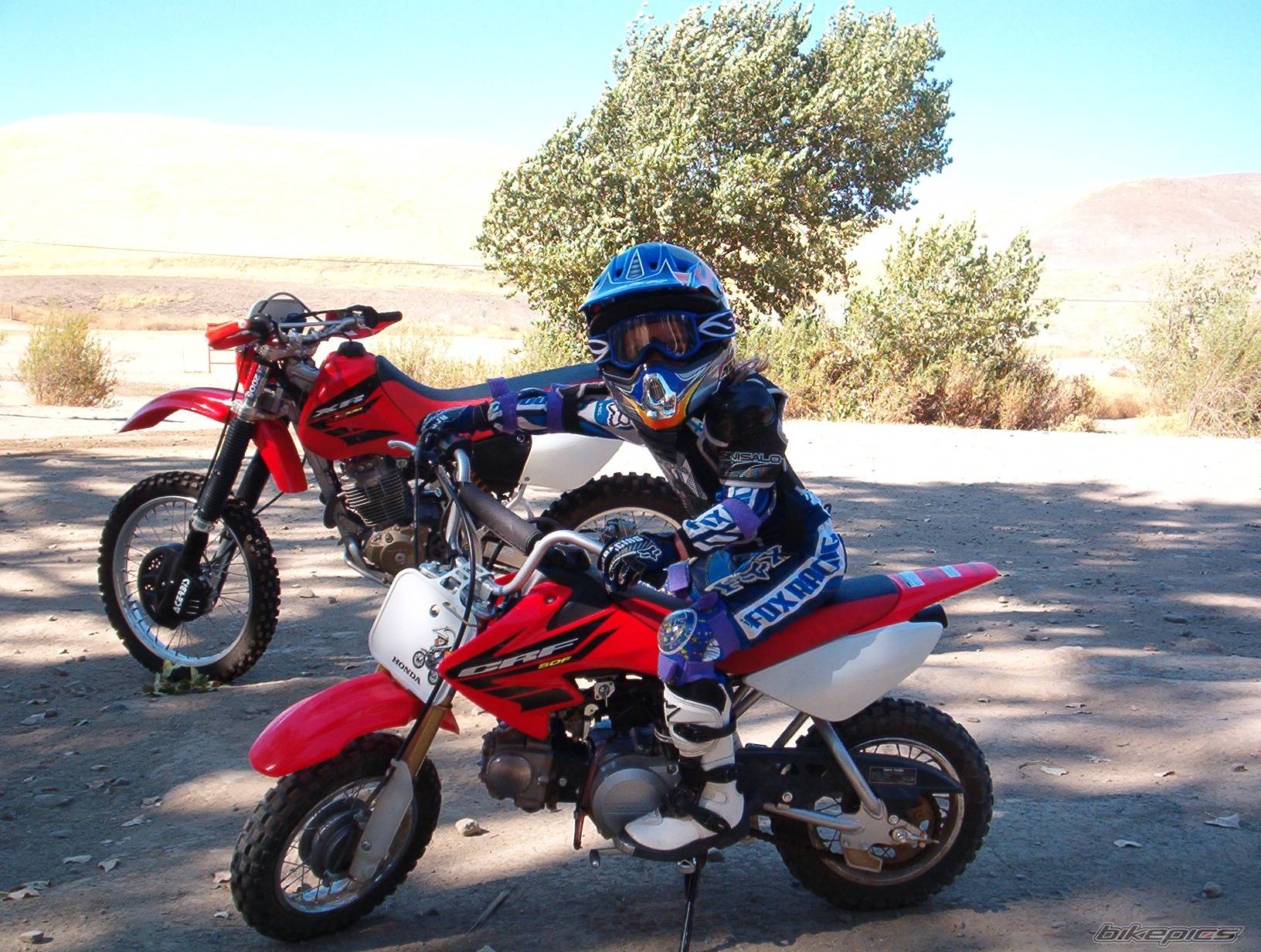 2004 HONDA XR 400 | Picture 569755 motorcycle photo