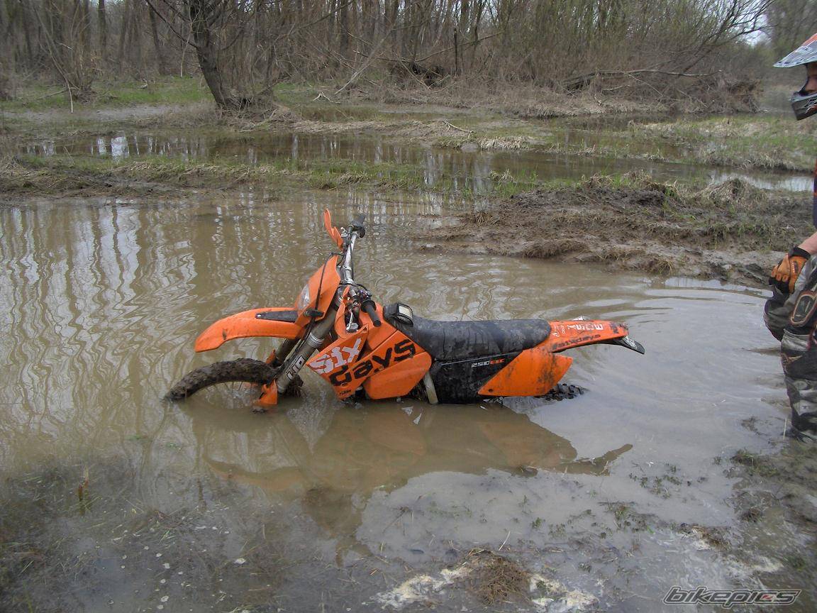 2004 KTM 250 EXC | Picture 570131 motorcycle photo