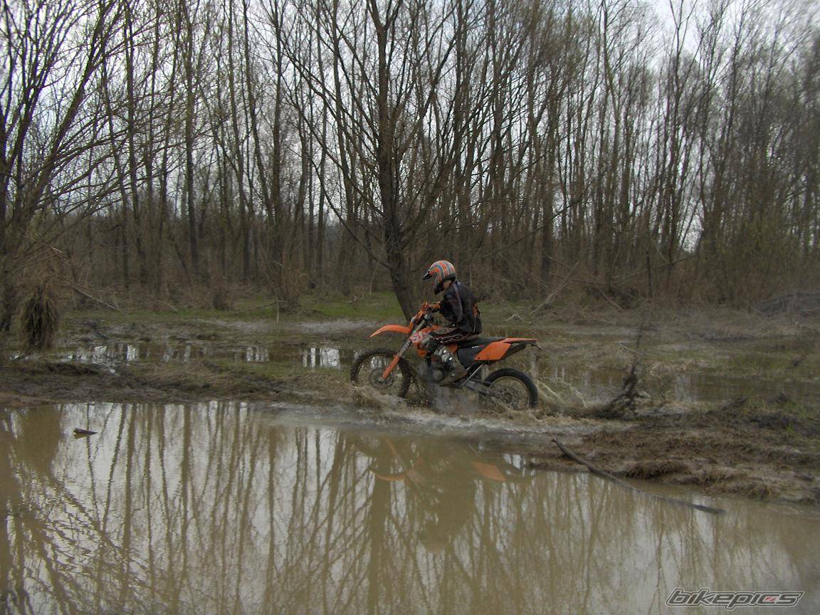 2004 KTM 250 EXC | Picture 570142 motorcycle photo
