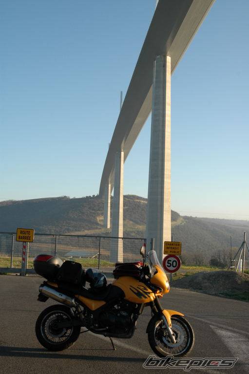1999 TRIUMPH TIGER | Picture 570720 motorcycle photo