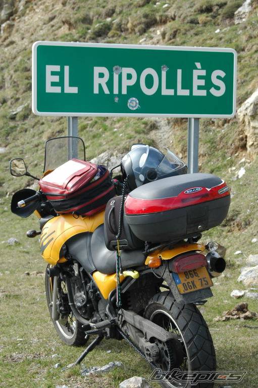 1999 TRIUMPH TIGER | Picture 570744 motorcycle photo