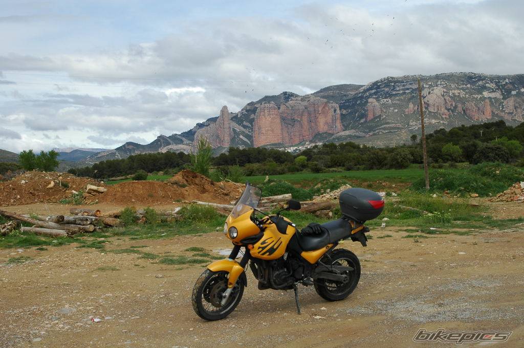 1999 TRIUMPH TIGER | Picture 570754 motorcycle photo