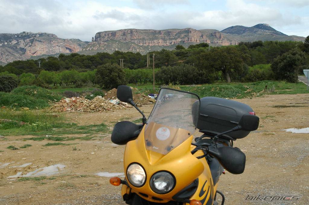 1999 TRIUMPH TIGER | Picture 570755 motorcycle photo