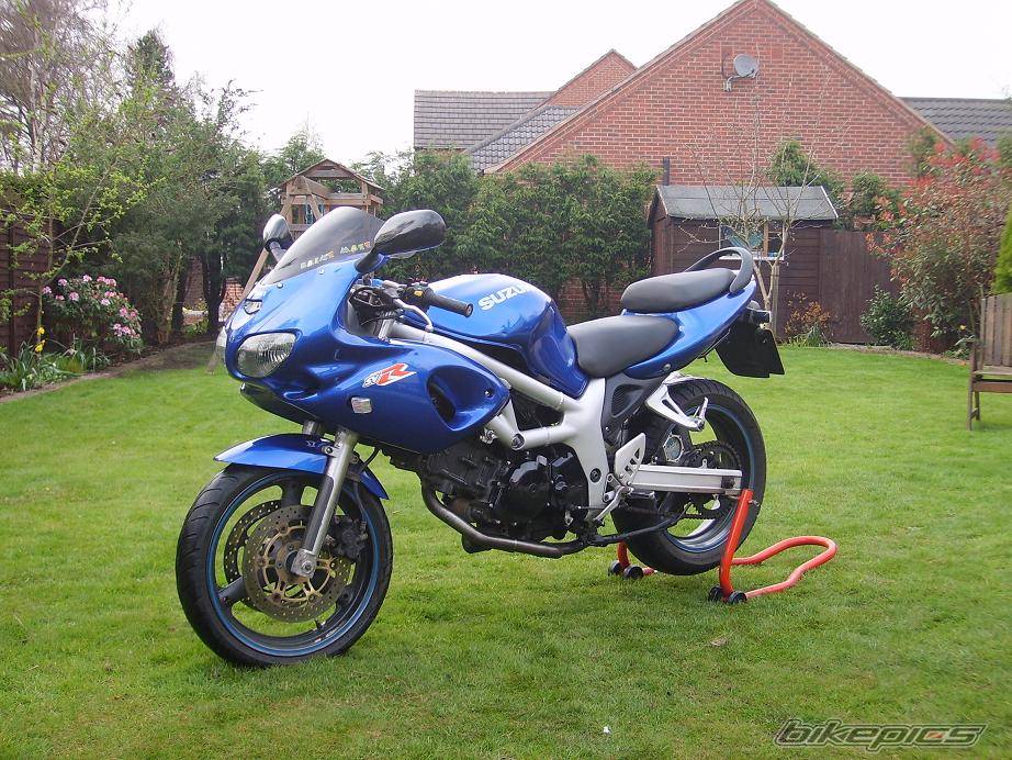 1999 SUZUKI SV 650S | Picture 570902 motorcycle photo