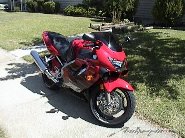 1999 HONDA CBR 600 | Picture 5710 motorcycle photo