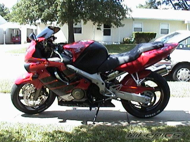 1999 HONDA CBR 600 | Picture 5712 motorcycle photo