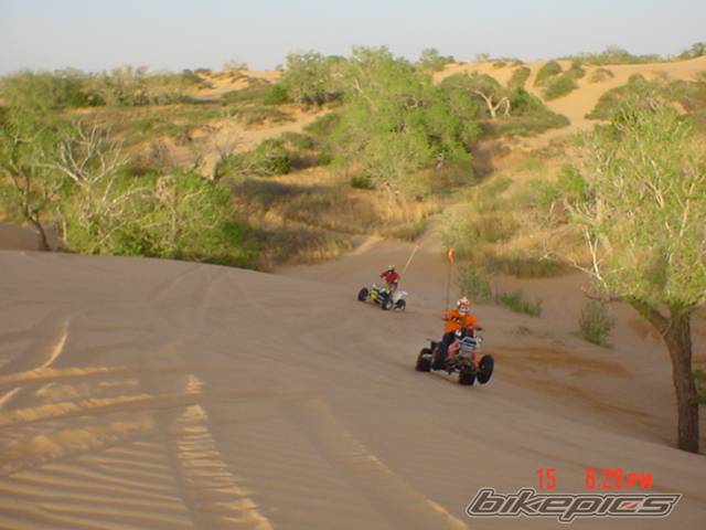 1995 YAMAHA BANSHEE | Picture 571563 motorcycle photo