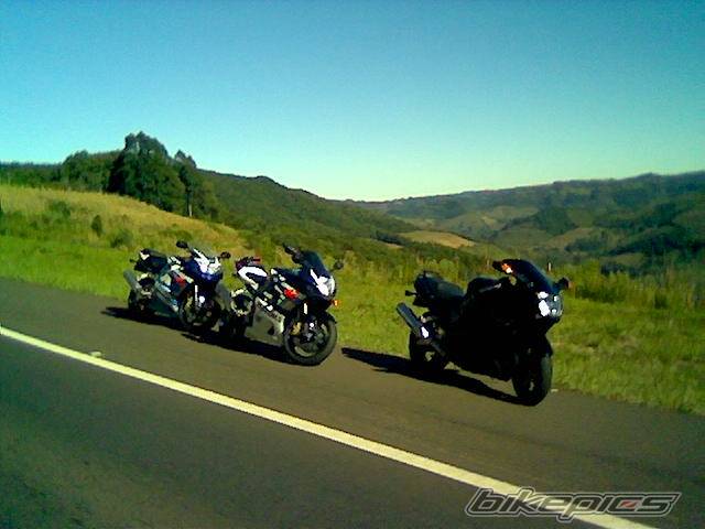 2005 SUZUKI GSX R 1000 | Picture 571792 motorcycle photo