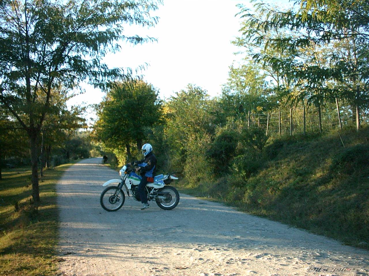 1990 KAWASAKI KLR 250 | Picture 571834 motorcycle photo