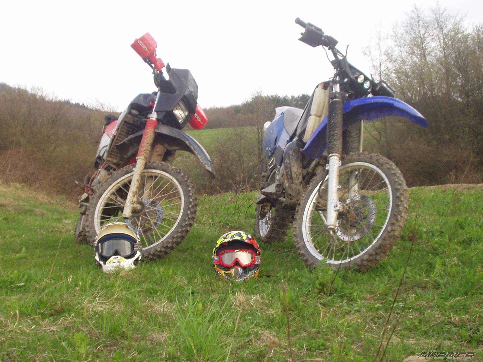 1995 GILERA APACHE 125 | Picture 571849 motorcycle photo