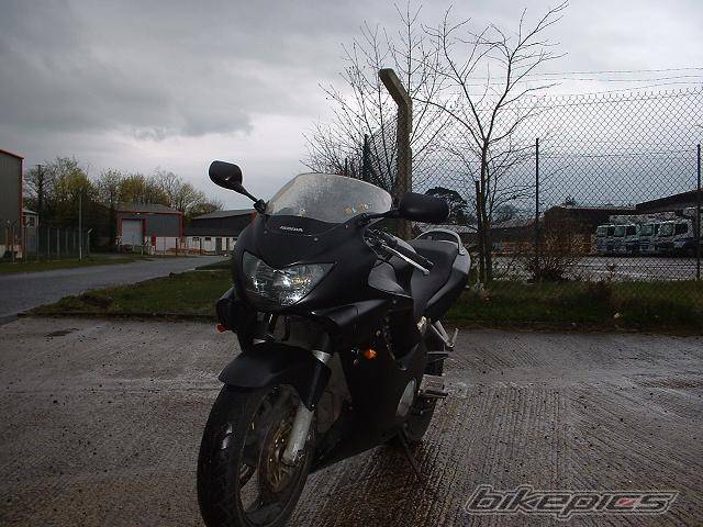 1999 HONDA CBR 600 | Picture 572151 motorcycle photo