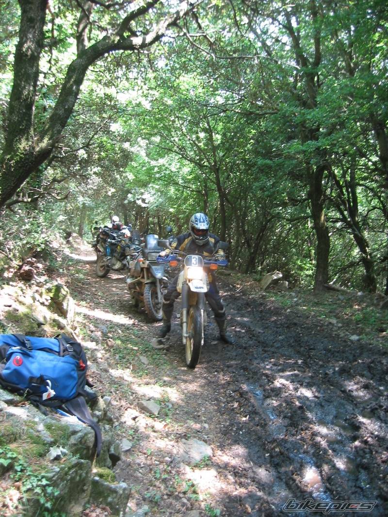 2005 SUZUKI DR 650 | Picture 572438 motorcycle photo