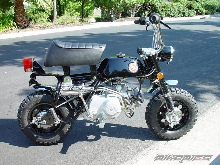 1969 HONDA Z 50 | Picture 572623 motorcycle photo
