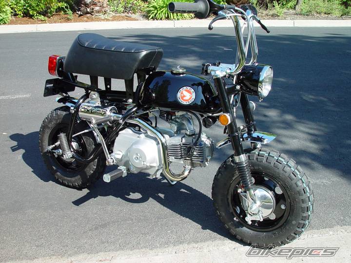 1969 HONDA Z 50 | Picture 572624 motorcycle photo