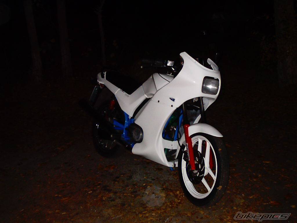1994 JAWA 350 | Picture 57299 motorcycle photo
