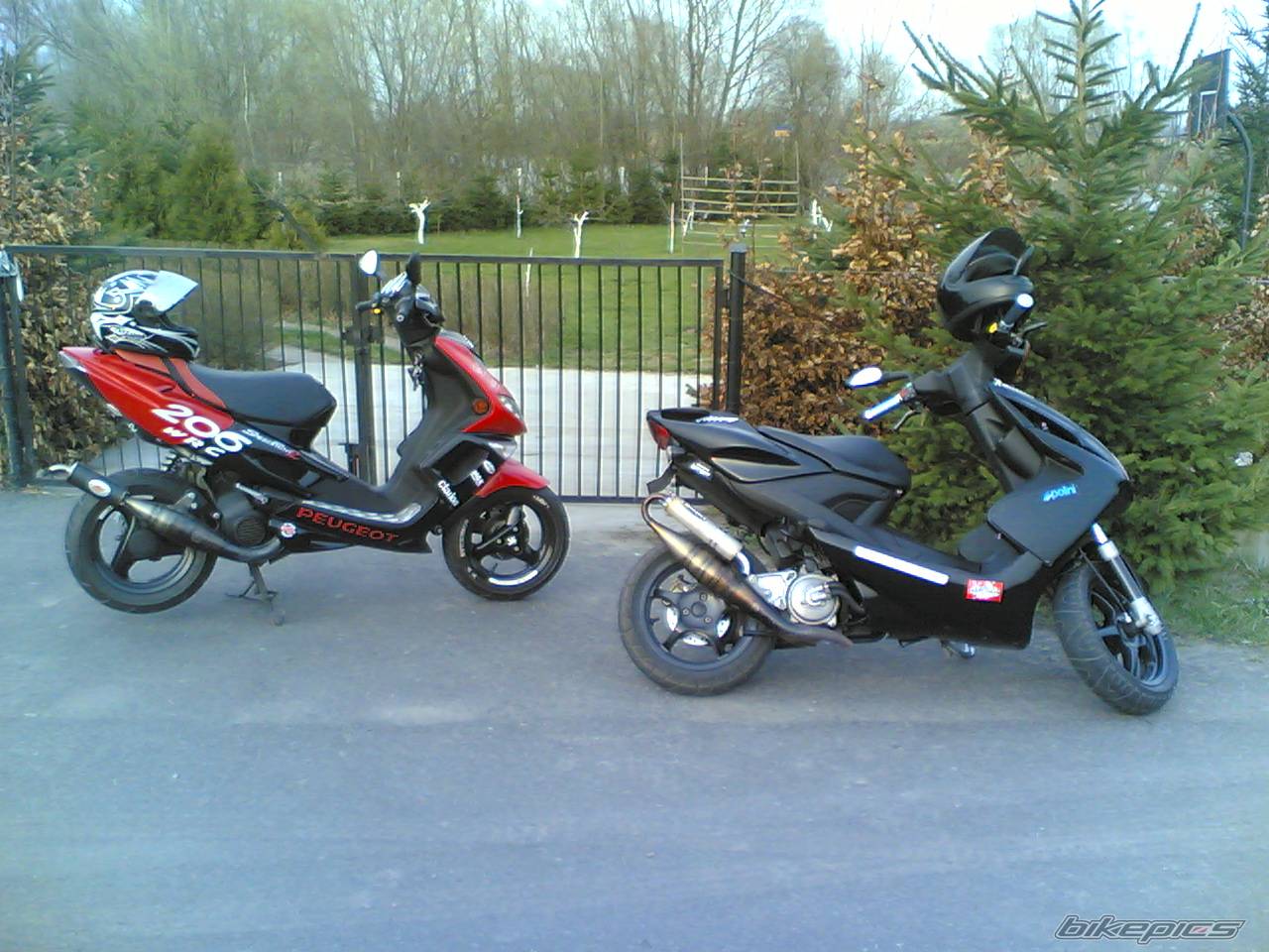 2004 PEUGEOT SPEEDFIGHT2 50 | Picture 573312 motorcycle photo