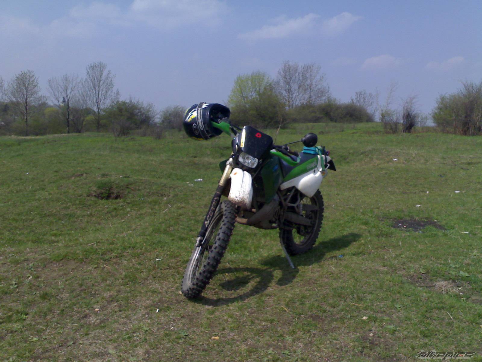 1999 DERBI SENDA R 50 | Picture 573581 motorcycle photo