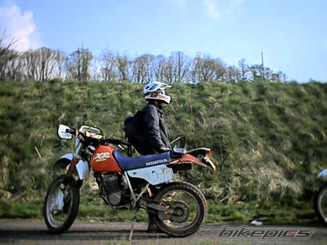 1988 HONDA XR 250 | Picture 57413 motorcycle photo