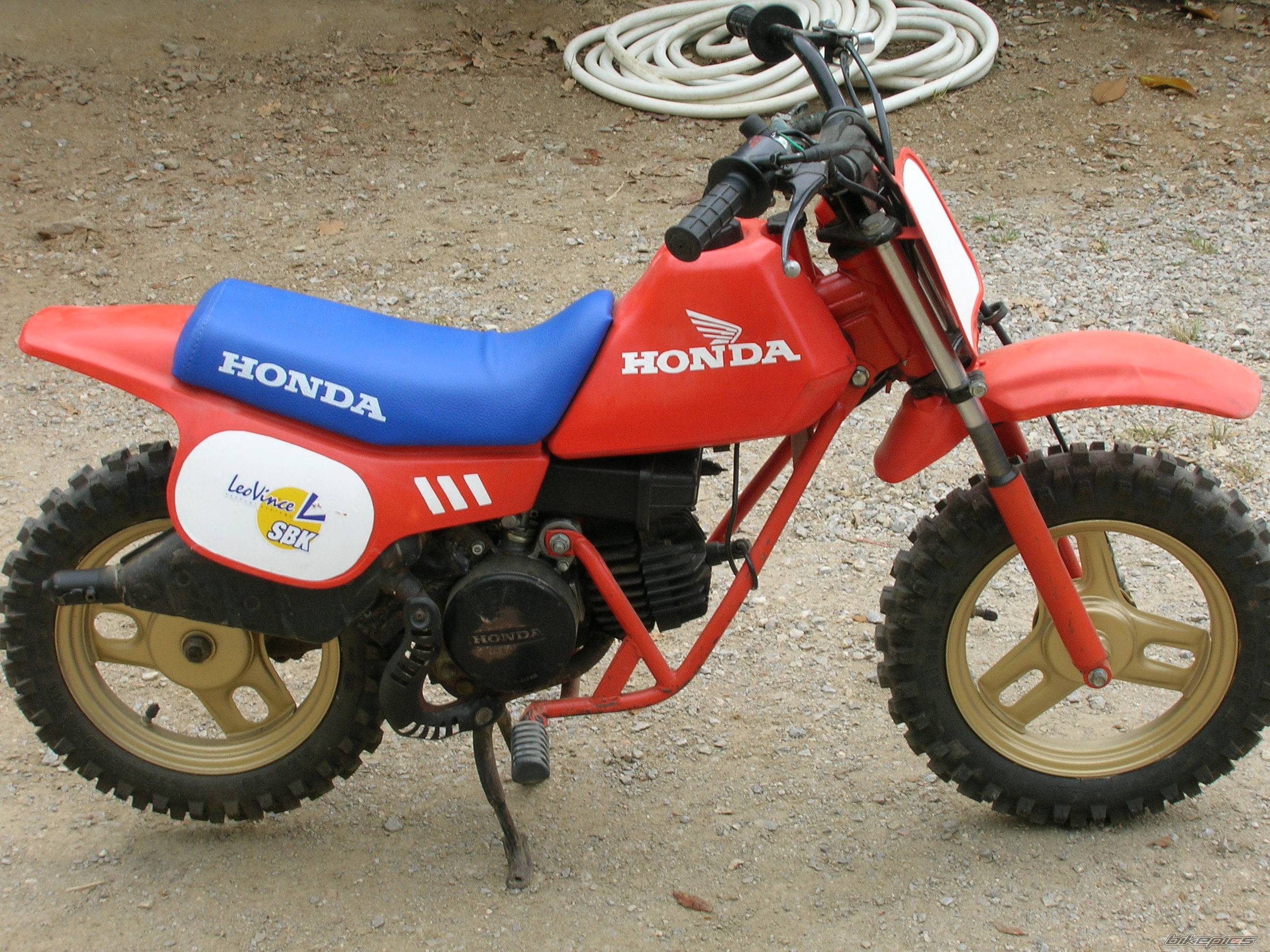 1984 HONDA QR 50 | Picture 574668 motorcycle photo
