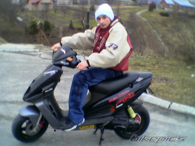 2000 MALAGUTI F 12 50 | Picture 575585 motorcycle photo