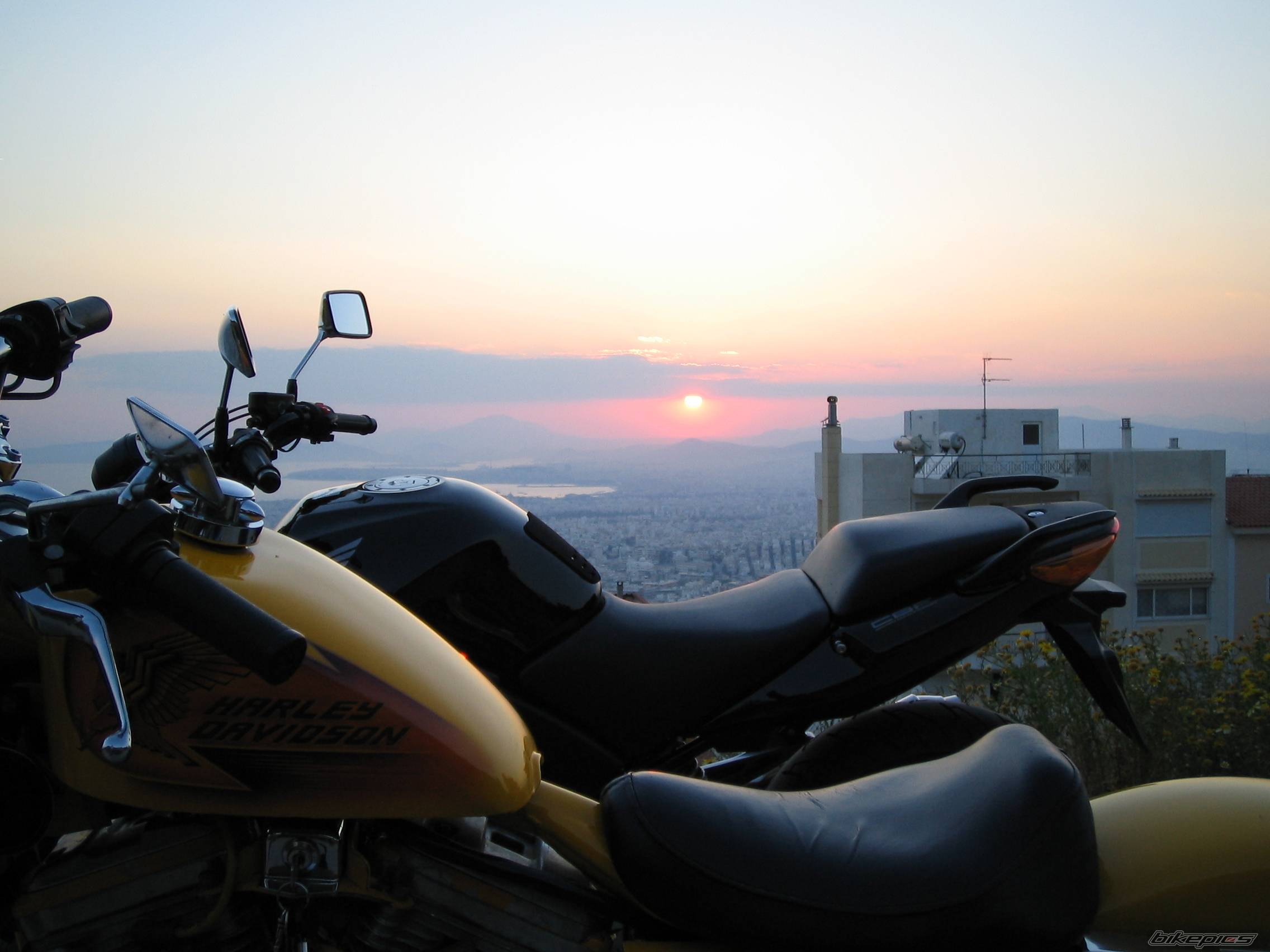 1992 HARLEY DAVIDSON XLH 883 | Picture 575912 motorcycle photo