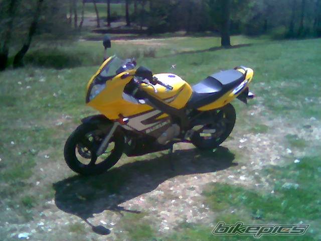 2006 SUZUKI GS 500 | Picture 576887 motorcycle photo
