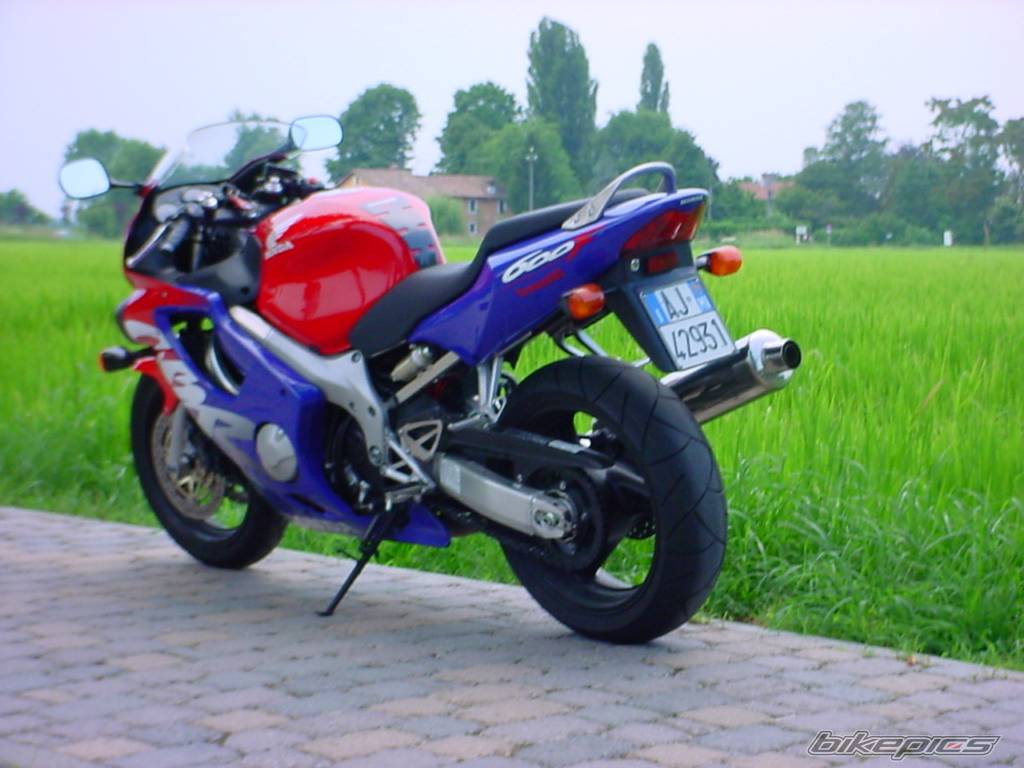 1999 HONDA CBR 600 | Picture 57725 motorcycle photo