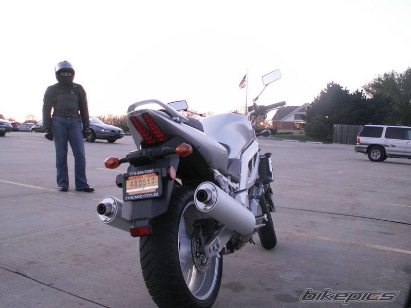 2003 SUZUKI SV 1000 | Picture 577308 motorcycle photo