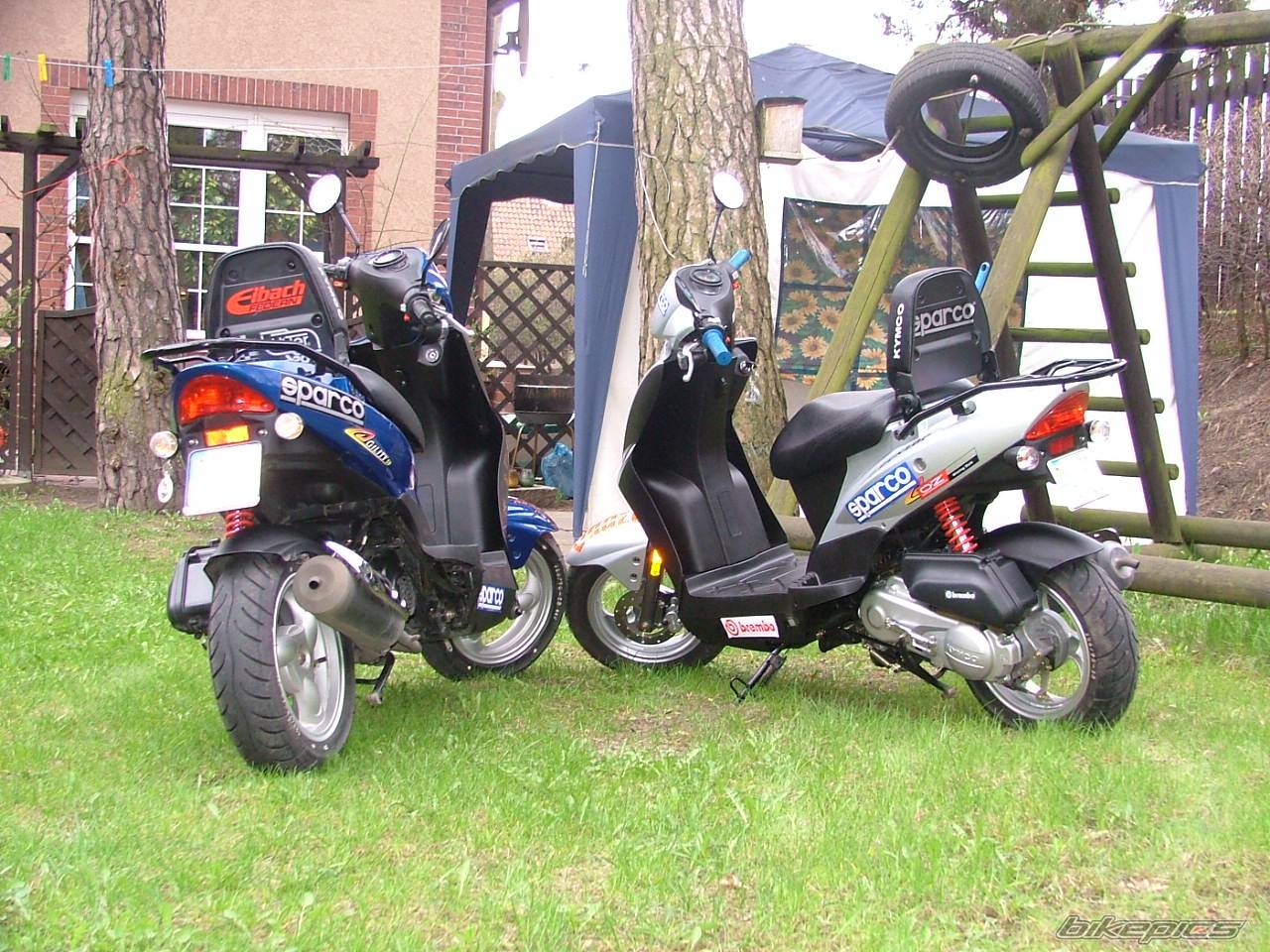 2006 KYMCO AGILITY 50 | Picture 577713 motorcycle photo