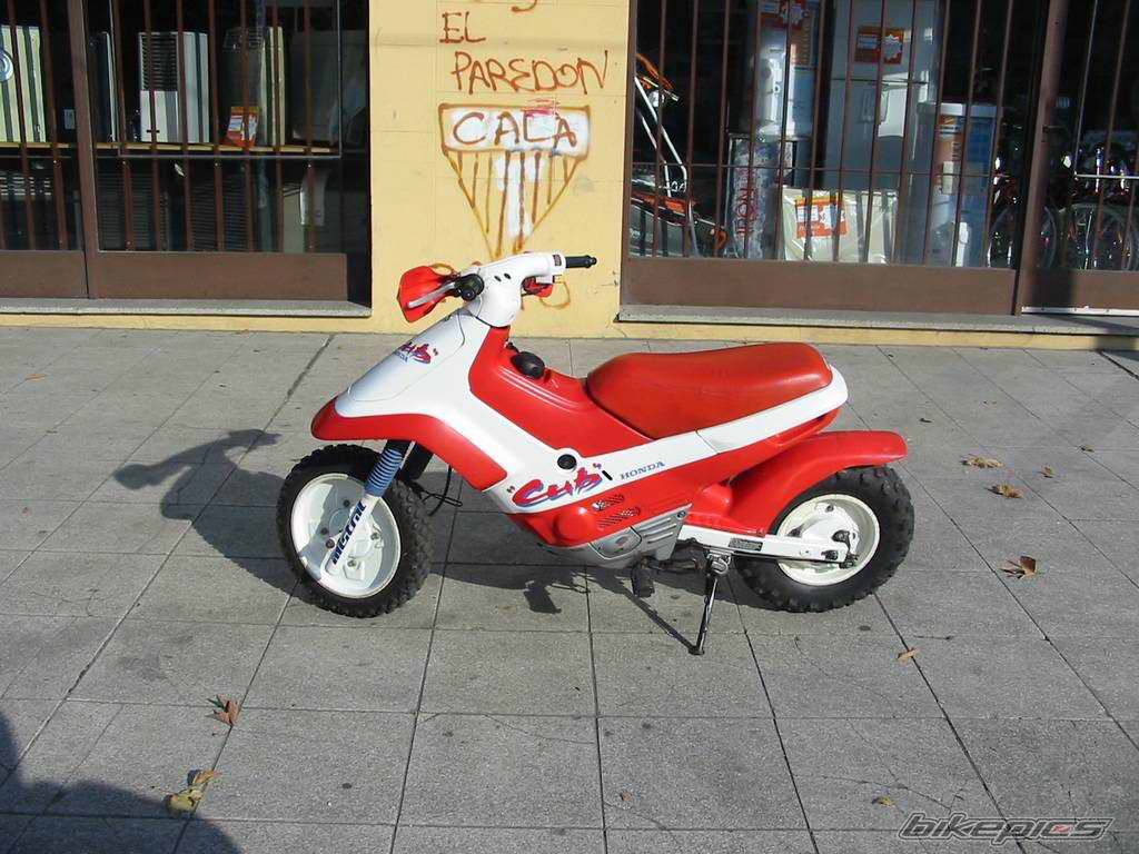 1993 HONDA CUB | Picture 57883 motorcycle photo