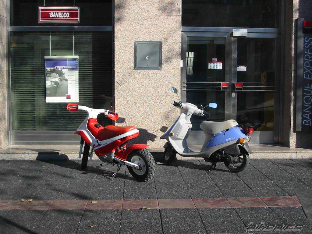 1993 HONDA CUB | Picture 57892 motorcycle photo