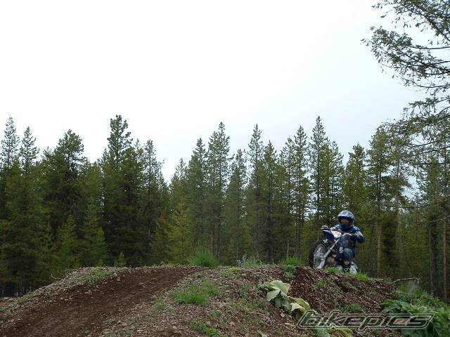 2001 YAMAHA TTR 90 | Picture 579033 motorcycle photo