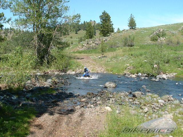 2001 YAMAHA TTR 90 | Picture 579037 motorcycle photo