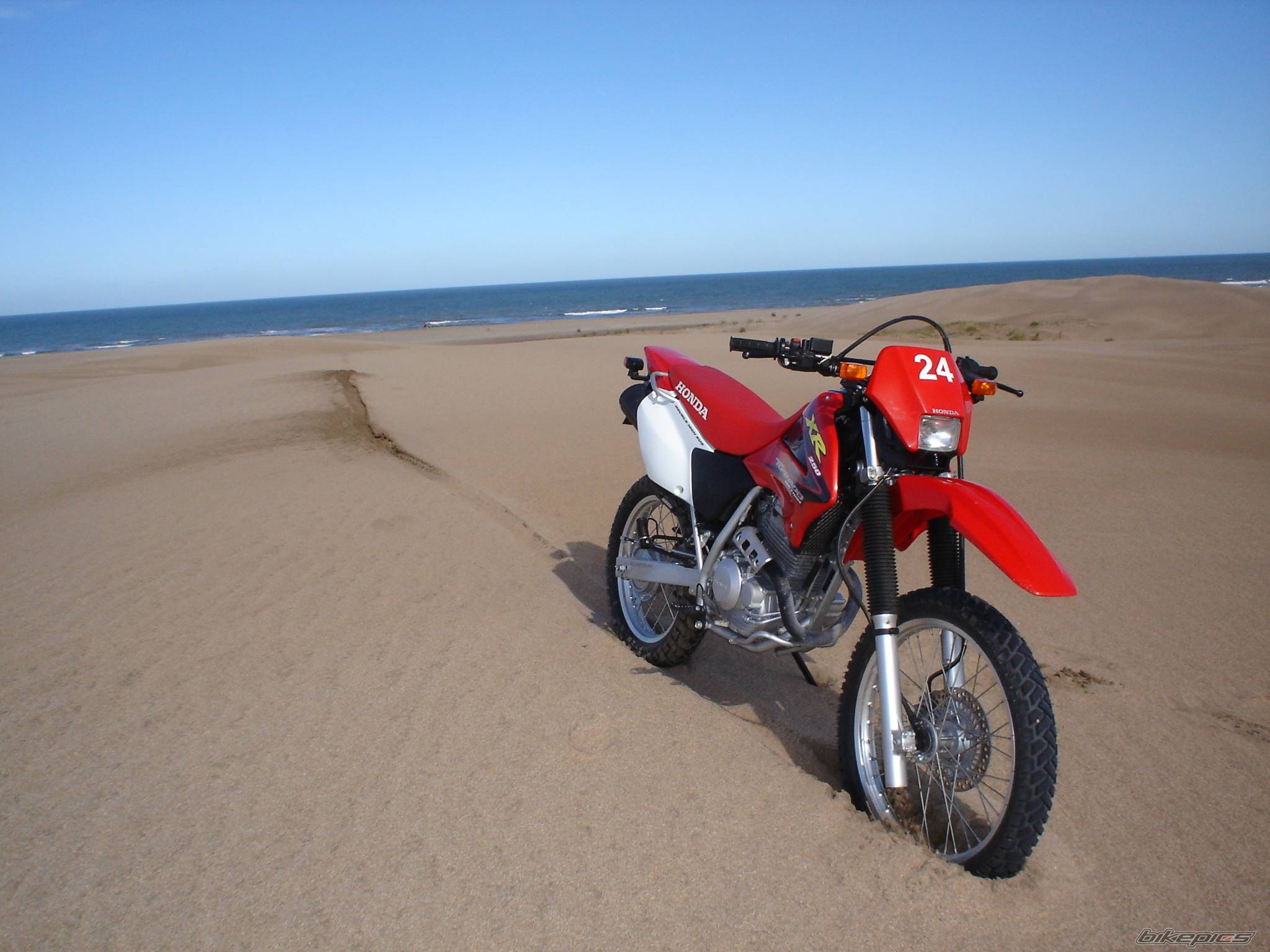 2006 HONDA XR 250 | Picture 579375 motorcycle photo