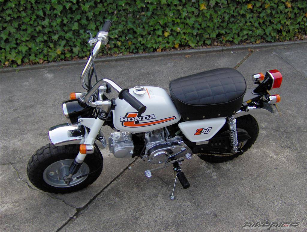 1970 HONDA Z 50 | Picture 579842 motorcycle photo