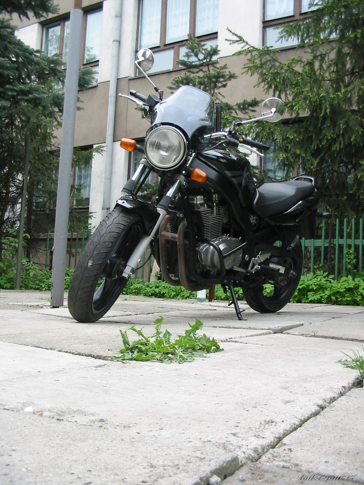 2004 SUZUKI GS 500 | Picture 580260 motorcycle photo