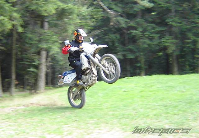 1991 SUZUKI DR 350 | Picture 580396 motorcycle photo