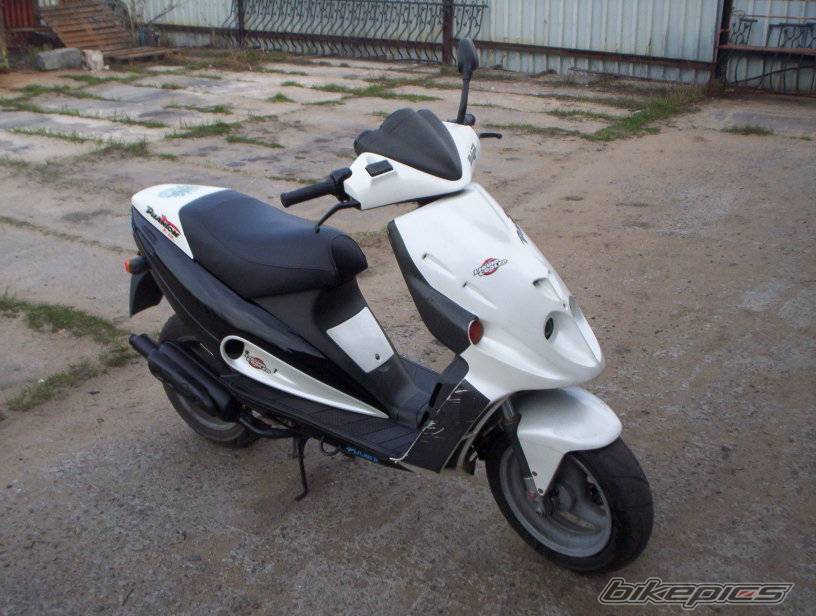 1997 MALAGUTI F 12 50 | Picture 581116 motorcycle photo