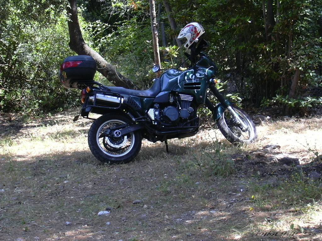 1998 TRIUMPH TIGER | Picture 581547 motorcycle photo