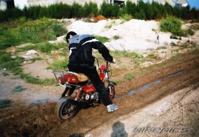 2006 SUZUKI RV 50 | Picture 581638 motorcycle photo
