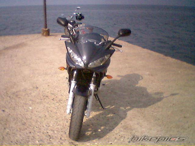 2004 YAMAHA FZ6 FAZER | Picture 581639 motorcycle photo