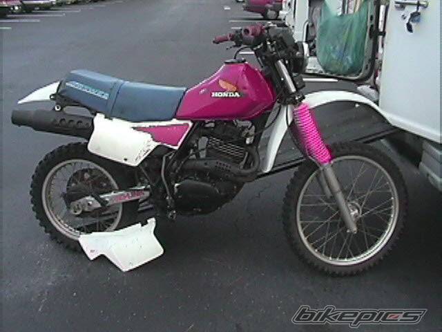 1982 HONDA XR 400 | Picture 582 motorcycle photo