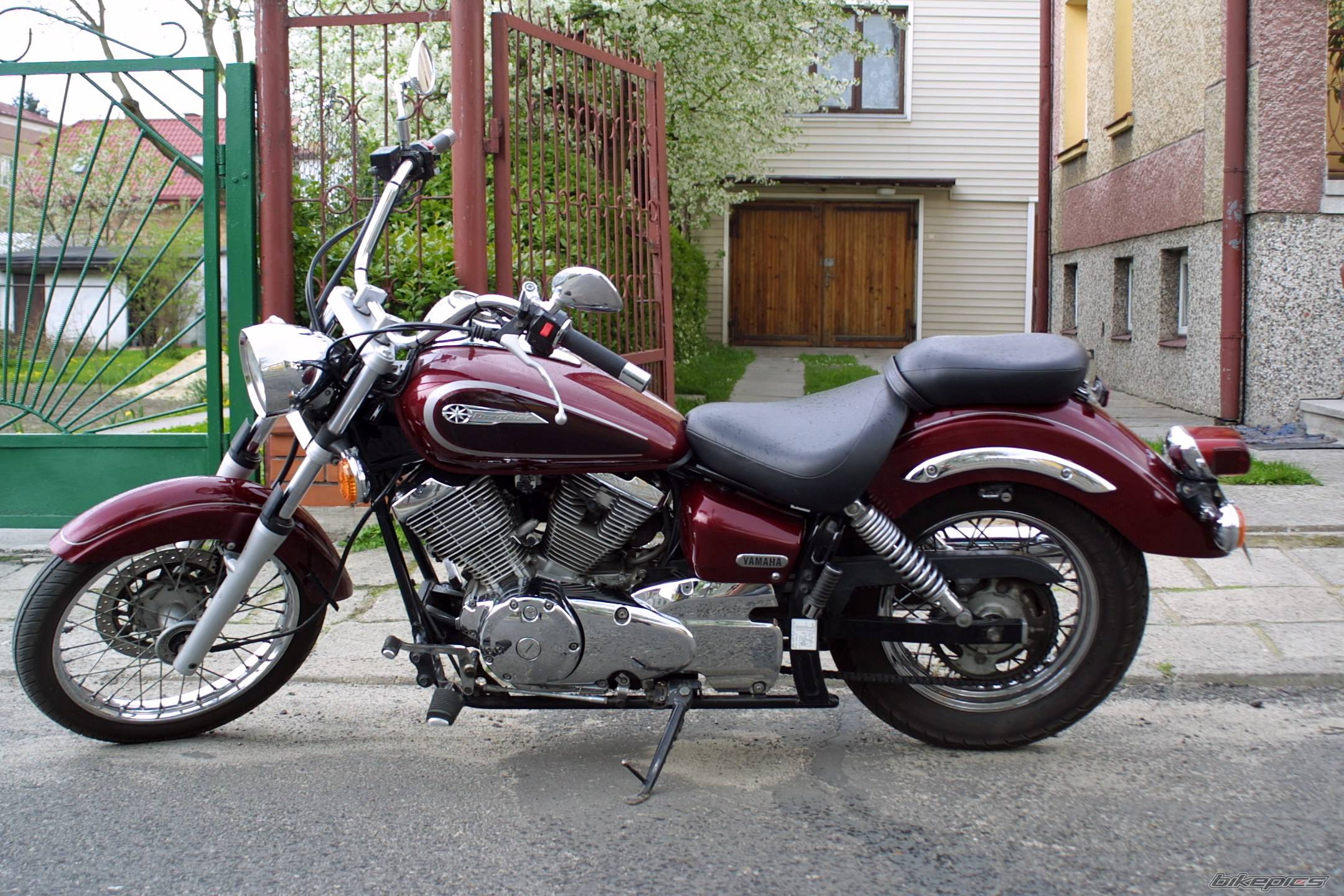 2001 YAMAHA XVS 125 DRAGSTAR | Picture 582003 motorcycle photo