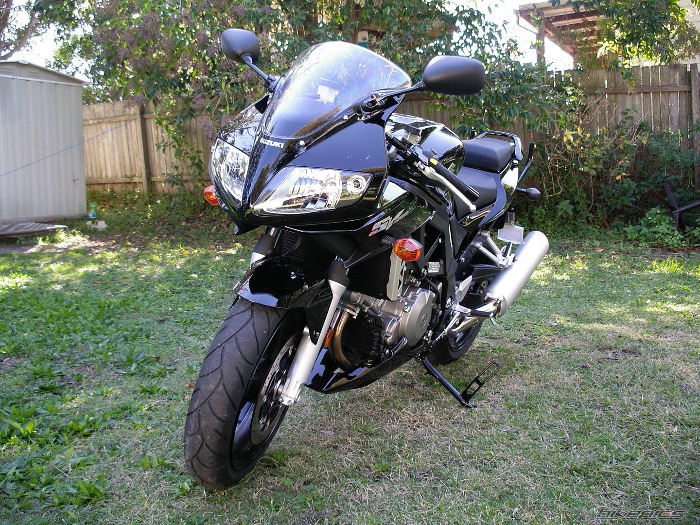 2006 SUZUKI SV 1000 S | Picture 582399 motorcycle photo