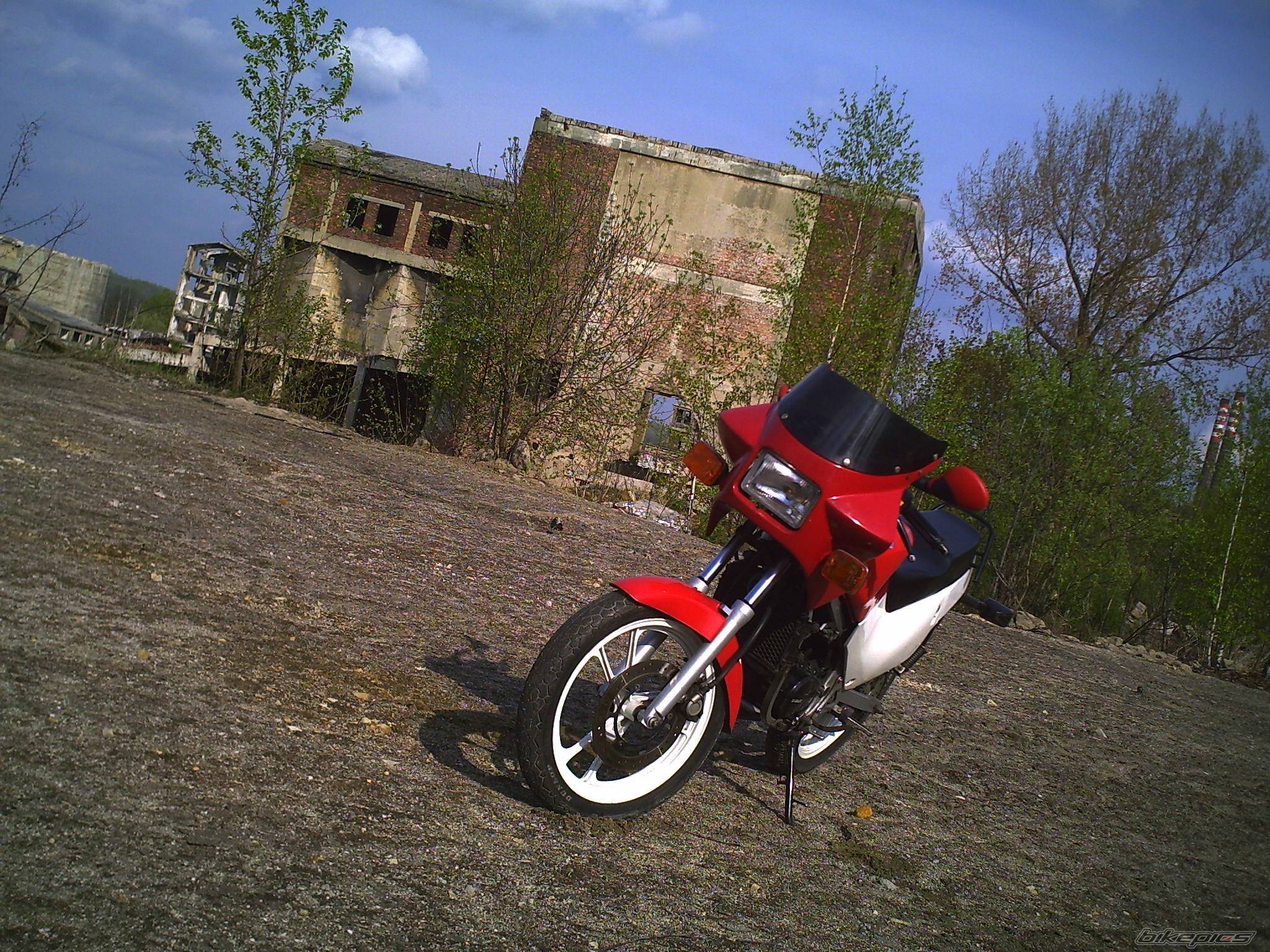 1990 SUZUKI RG 80 | Picture 582895 motorcycle photo