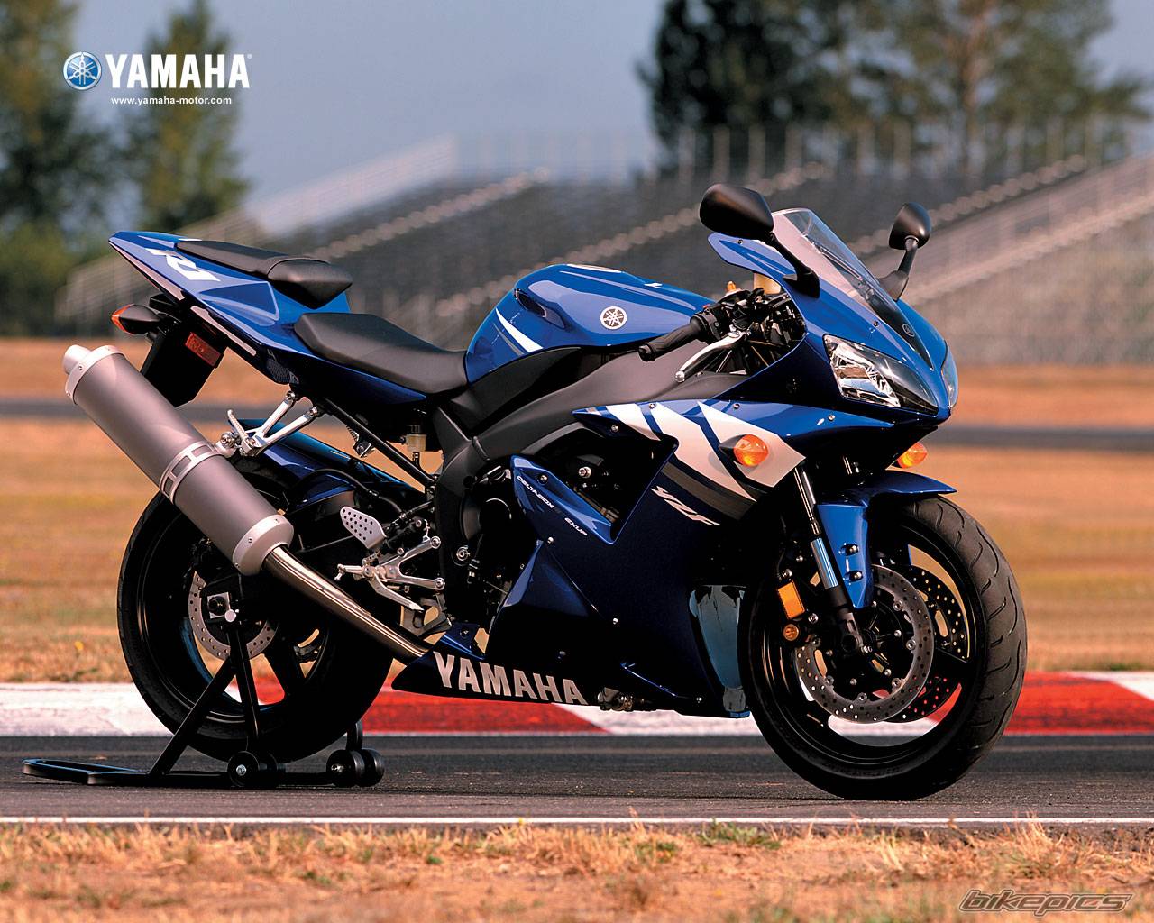 2003 YAMAHA YZF R1 | Picture 58344 motorcycle photo