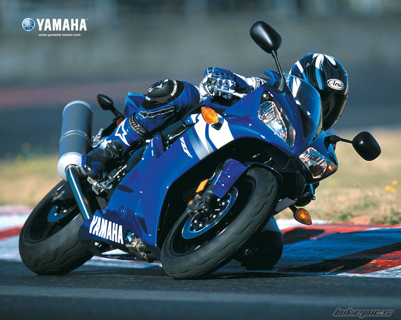 2003 YAMAHA YZF R1 | Picture 58346 motorcycle photo